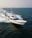 img/SB8hi-res/Shark Byte-16.jpg